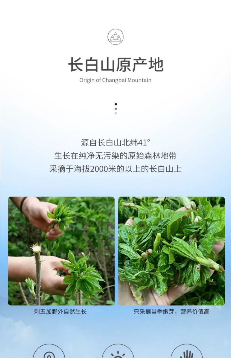 白山谷韵 小罐茶6罐/盒