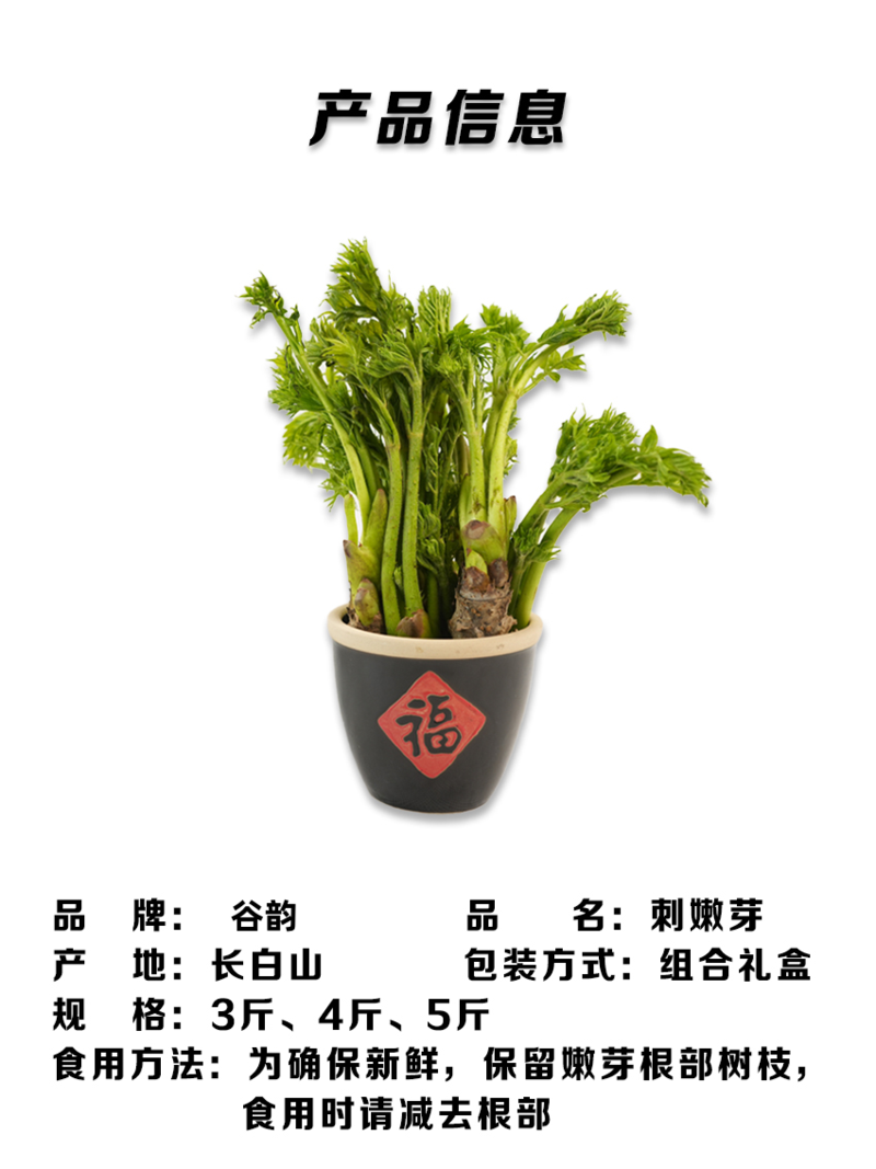 白山谷韵 蕨菜1斤+刺嫩芽1斤