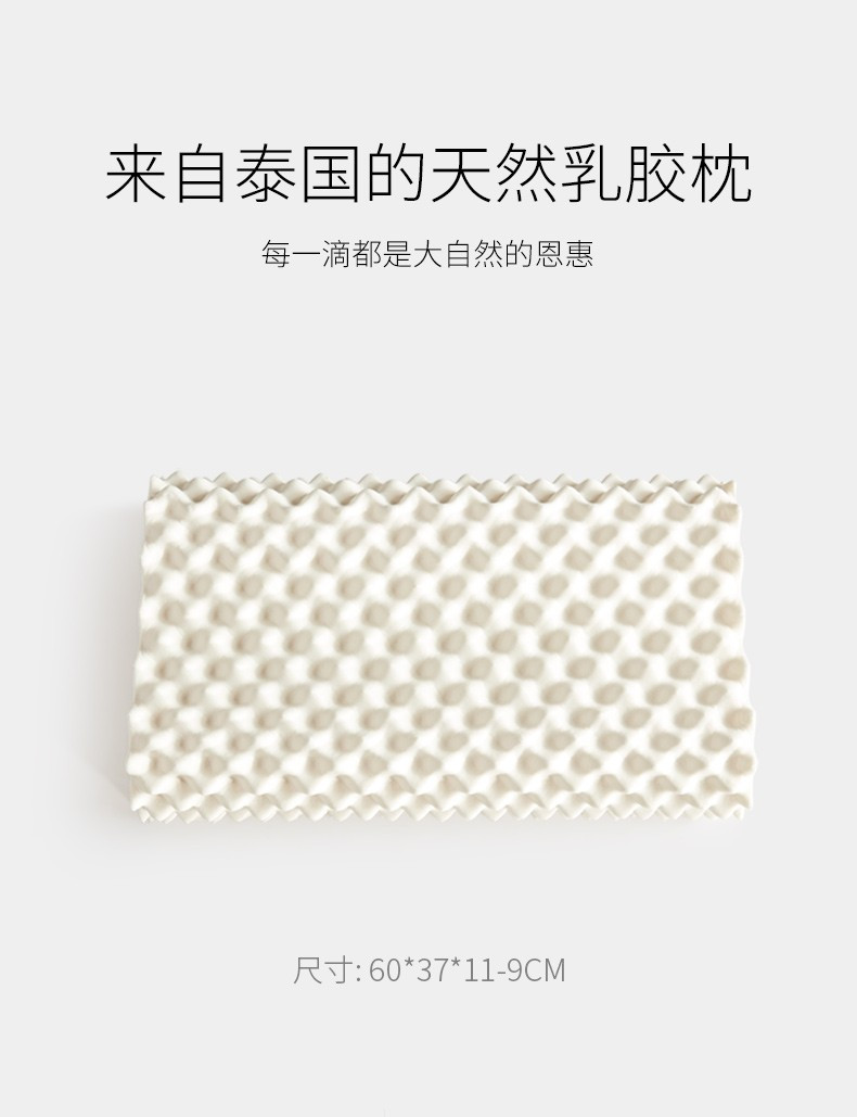佳奥 波浪形慢回弹记忆枕成人枕 白色 J02B05AW2 品质款X