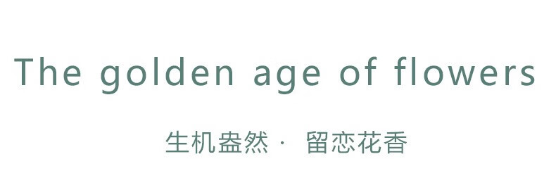 紫罗兰 床上四件套纯棉被套床单四件套床上用品全棉被罩