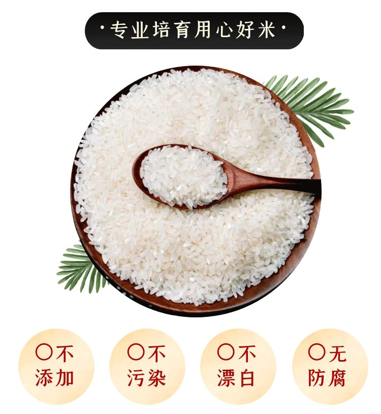 港达兴 黄花粘大米10KG