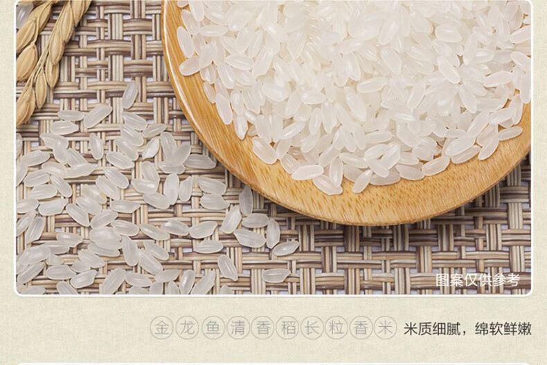 金龙鱼 清香稻长粒香米500g/袋东北大米袋装 家用蒸煮米饭熬 500克