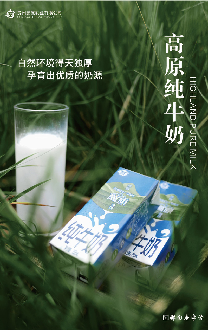 甘字牌 黔南都匀【纯牛奶】200ml*12盒/箱