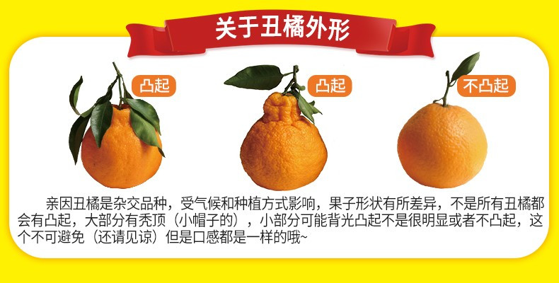 鲜农丰物 【京东快递】四川丑柑不知火丑橘酸甜脆爽多汁新鲜水果