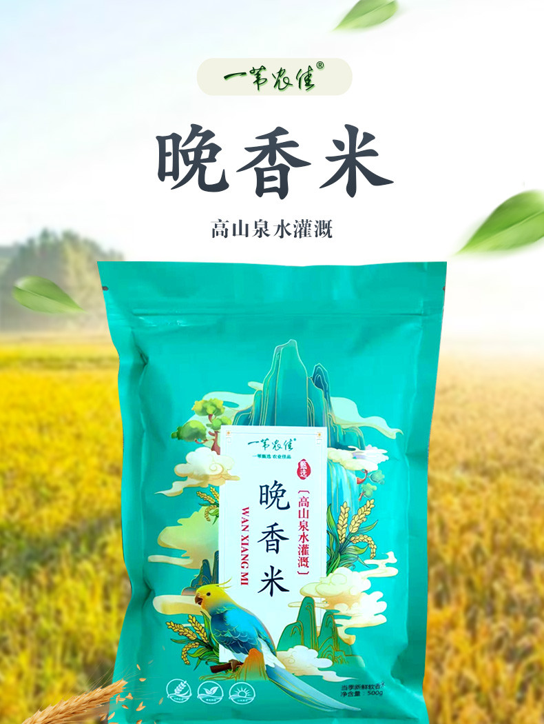 创果田源 湖北省秭归县晚稻 新米好吃大米晚香米500g