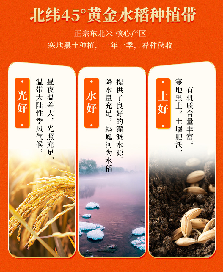 三人行 纯真长粒香米东北大米当季新米 2.5 公斤