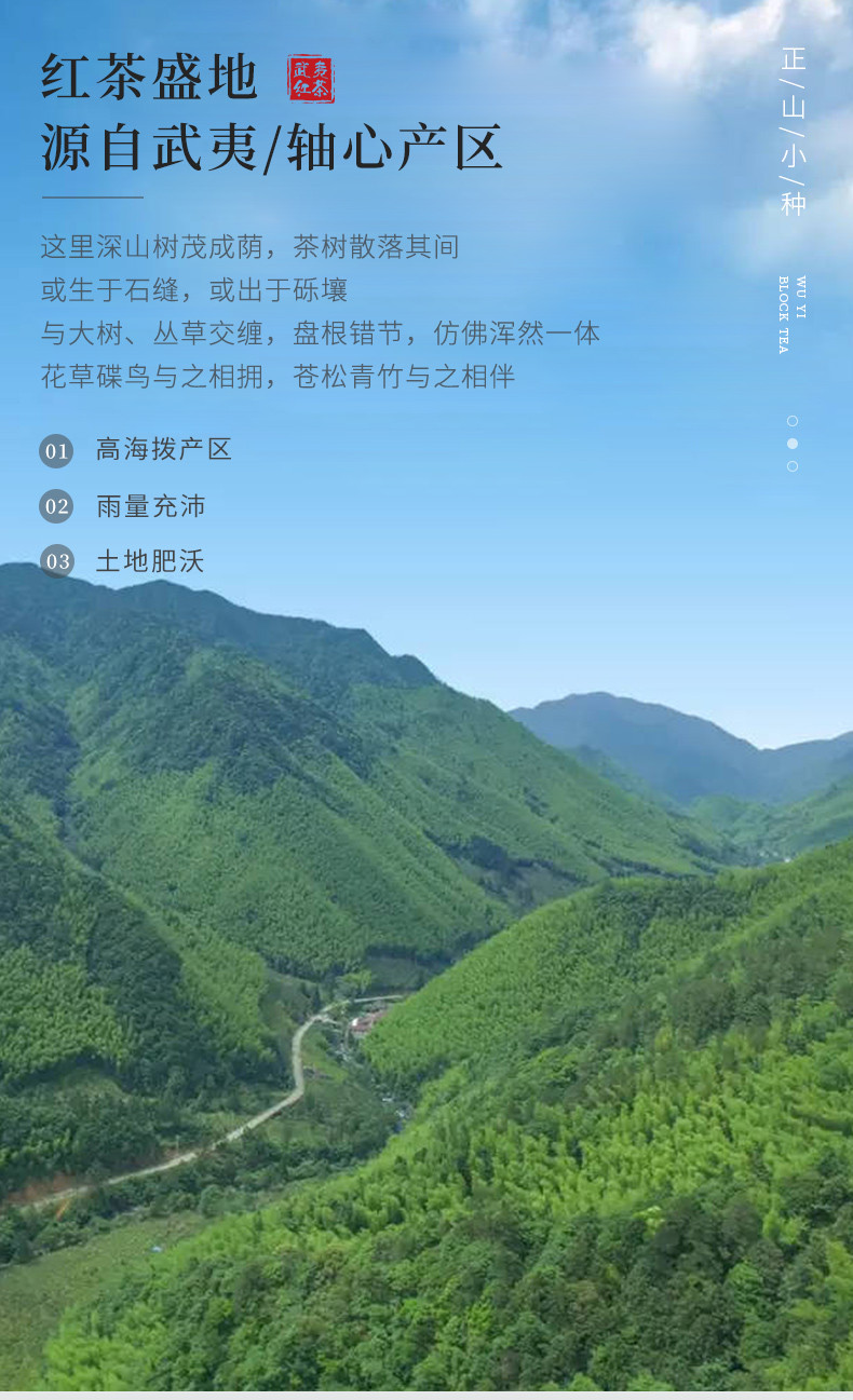 兮茗 桐木关正山小种