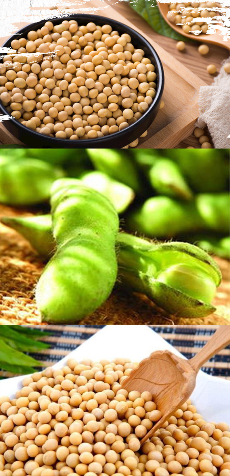  手绘小镇 洛阳农品 黄豆2.5kg嵩县优质有机农产品五谷杂粮