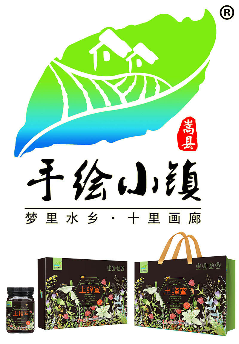  洛阳农品 手绘小镇 农家土蜂蜜500g*2礼盒装嵩县农家散养土蜂蜜