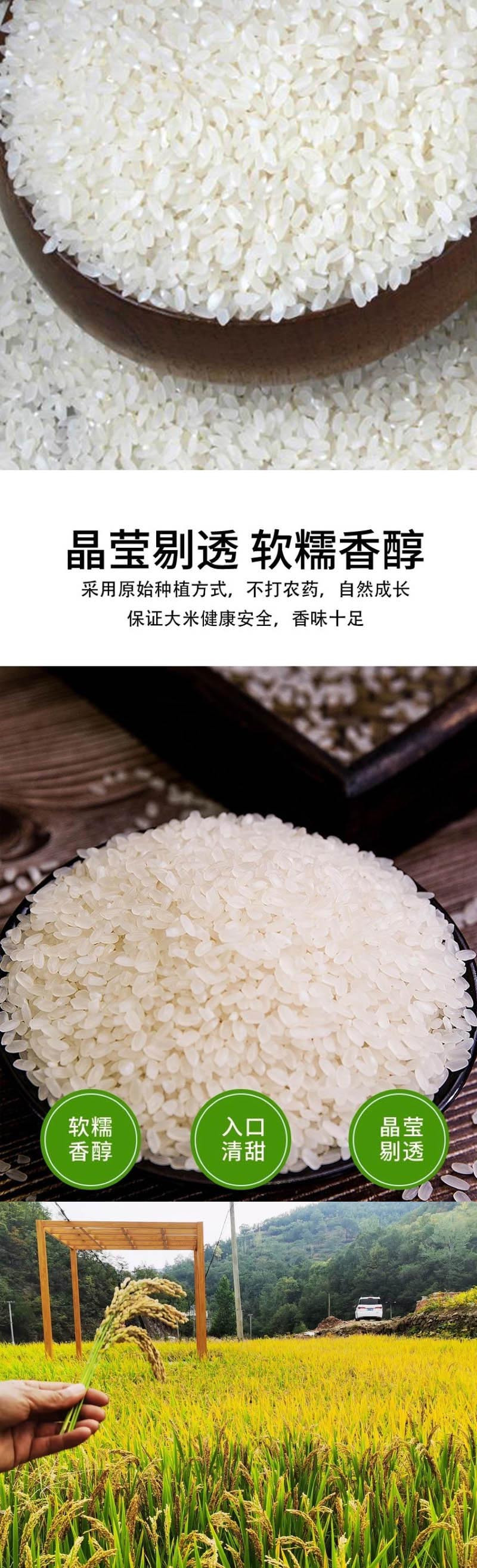  手绘小镇 洛阳农品 农家大米5kg嵩县绿色生态农家稻香米