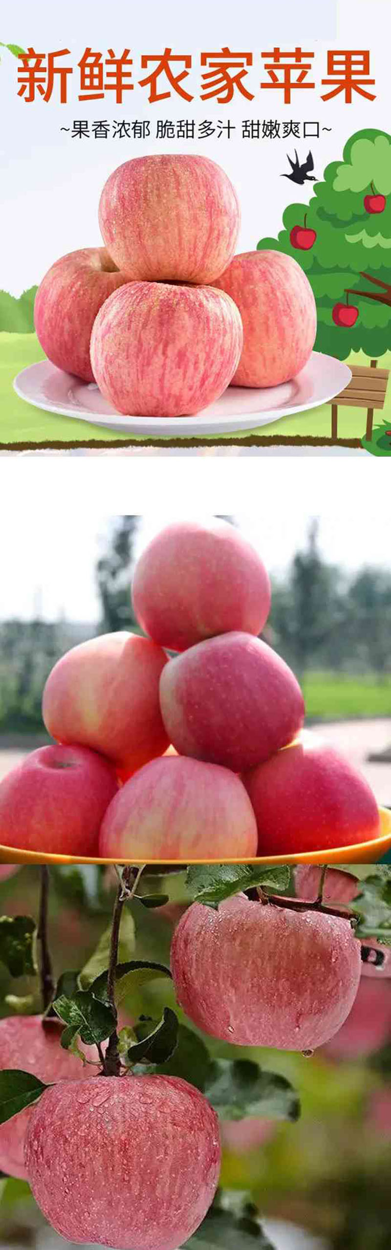  洛阳农品 手绘小镇 特级红富士苹果5kg