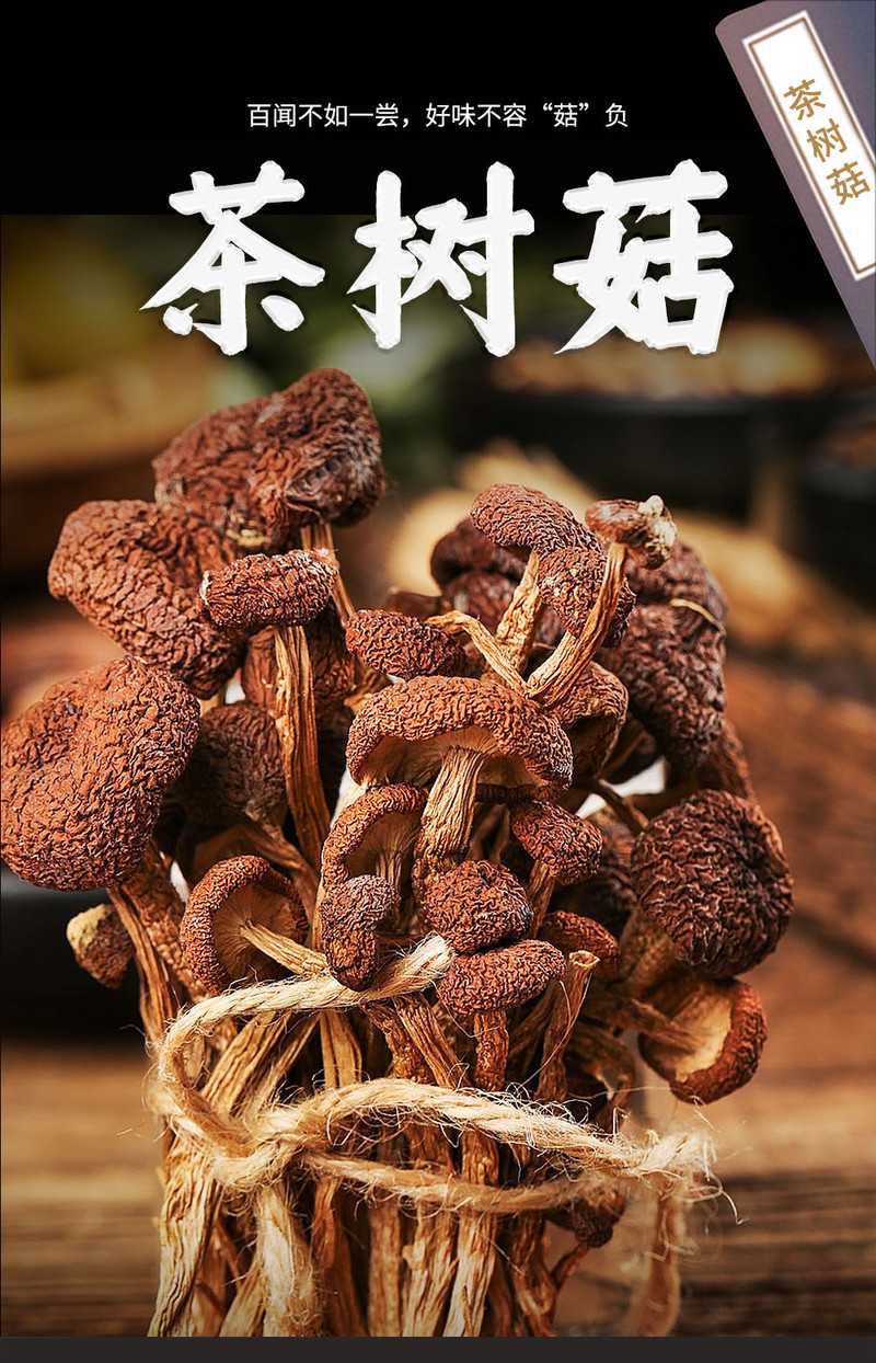 襄梦 茶树菇特产干货精选不开伞茶薪菇即食食材菌菇