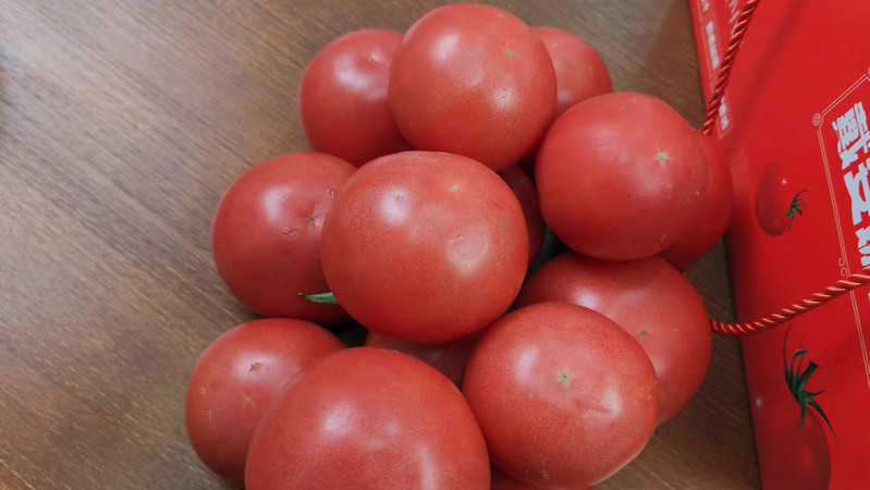 宏庄素果 番茄