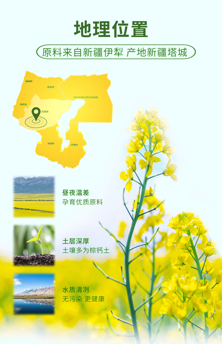 绿洲果实 新疆塔城绿洲果实浓香小榨菜籽油5L全国包邮