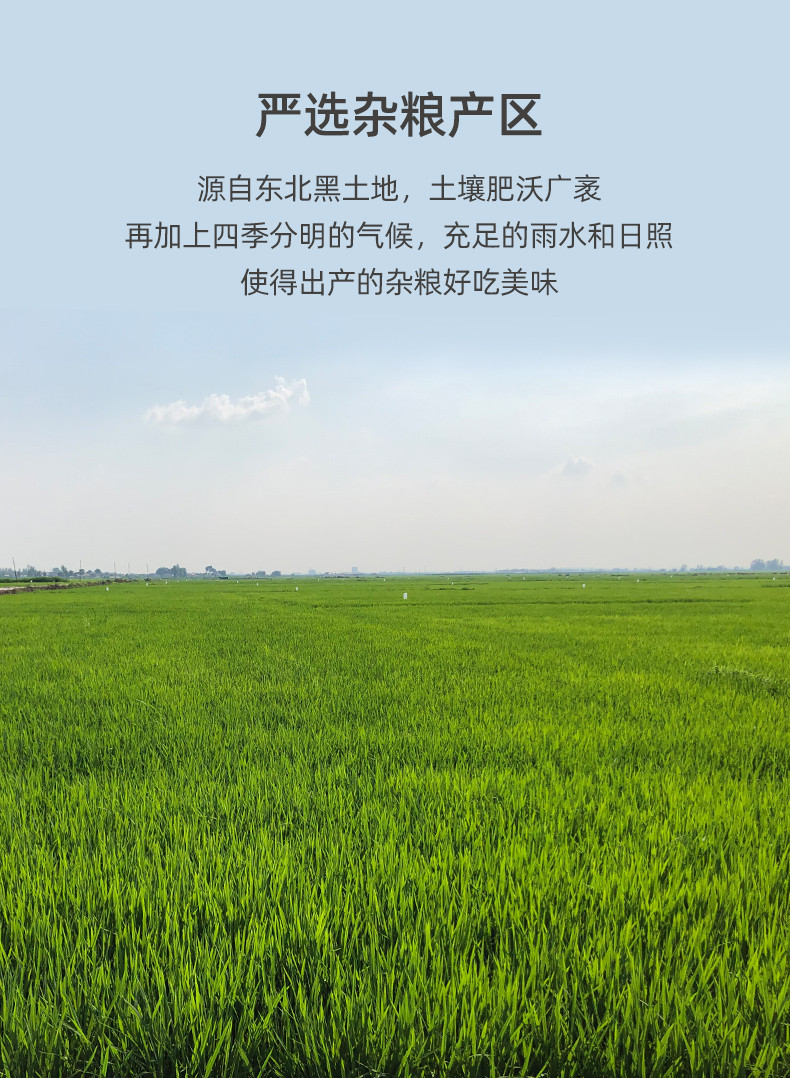 老爷岭 杂粮 生态大黄米1kg