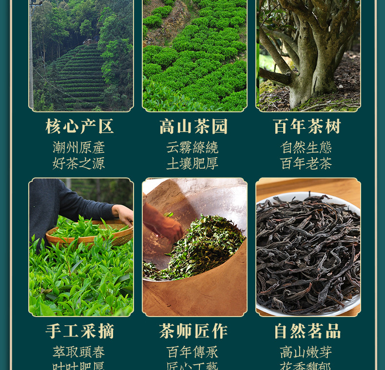 候达 凤凰单枞乌龙茶正宗丹枞茶叶200g桶装茶新茶清香型