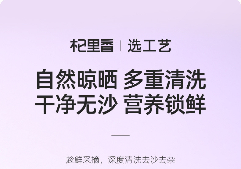 杞里香 黑桑葚干无沙桑椹子250g/罐泡茶泡酒非免洗即食桑葚 手选头茬桑葚干250克