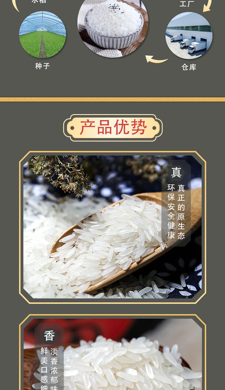  乡谷坊 乡谷坊茉莉香米500g 当季新米茉莉香大米家用长粒米籼米