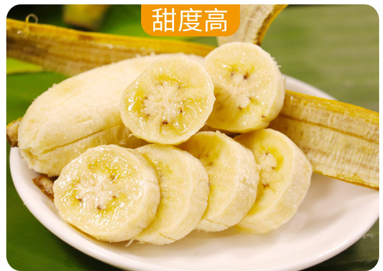  崇研鲜果 广西小米蕉 5斤装 现摘先发新鲜时令水果苹果蕉香蕉酸甜软糯5斤