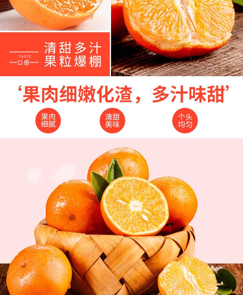  崇研鲜果 广西武鸣新鲜沃柑礼盒5斤大果单果70mm+ 橘子柑橘水果礼盒
