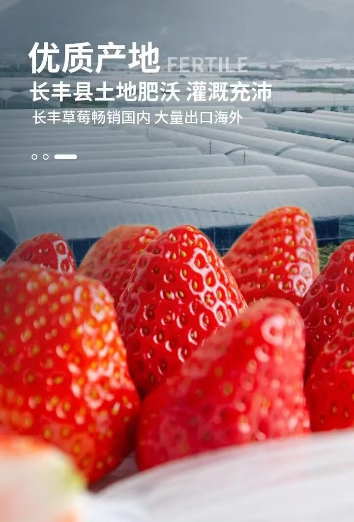  崇研鲜果 长丰红颜草莓2斤超大果礼盒 产地现摘现发 新鲜水果甜草莓礼盒