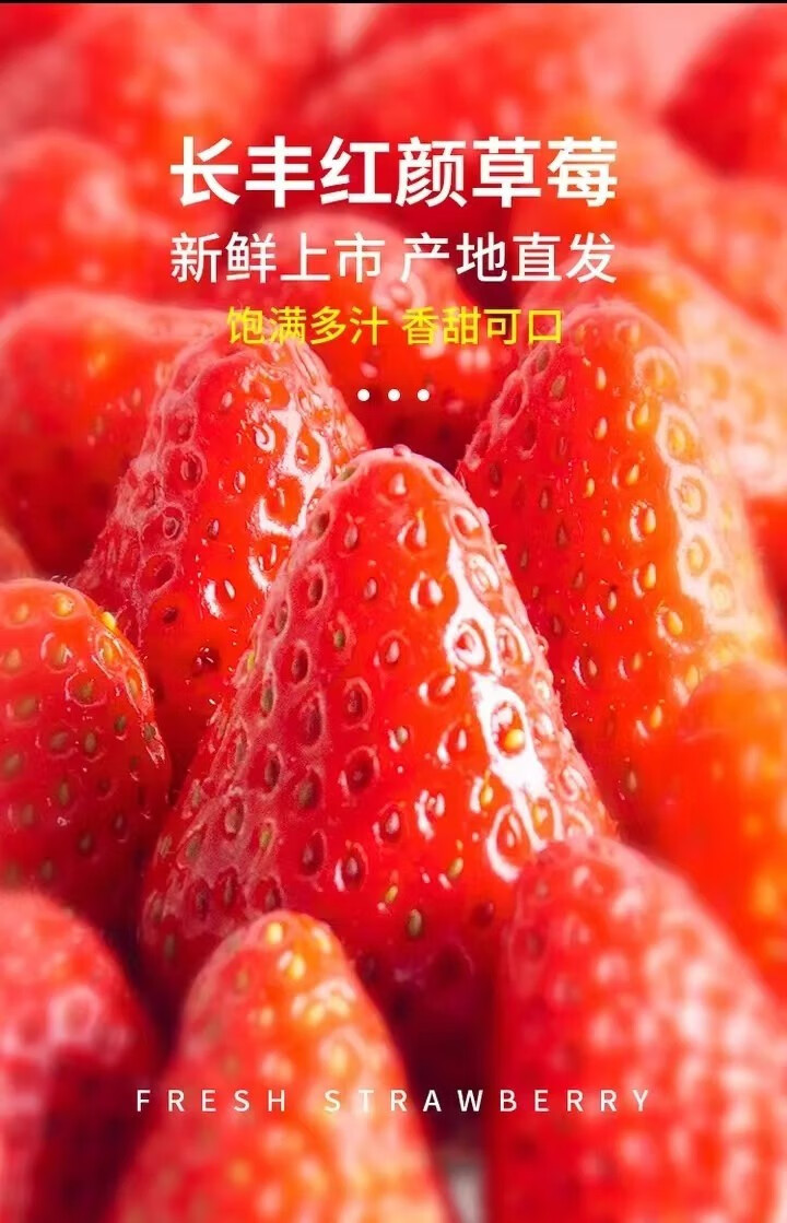 崇研鲜果 长丰红颜草莓2斤特大果礼盒 产地现摘现发 新鲜水果甜草莓礼盒