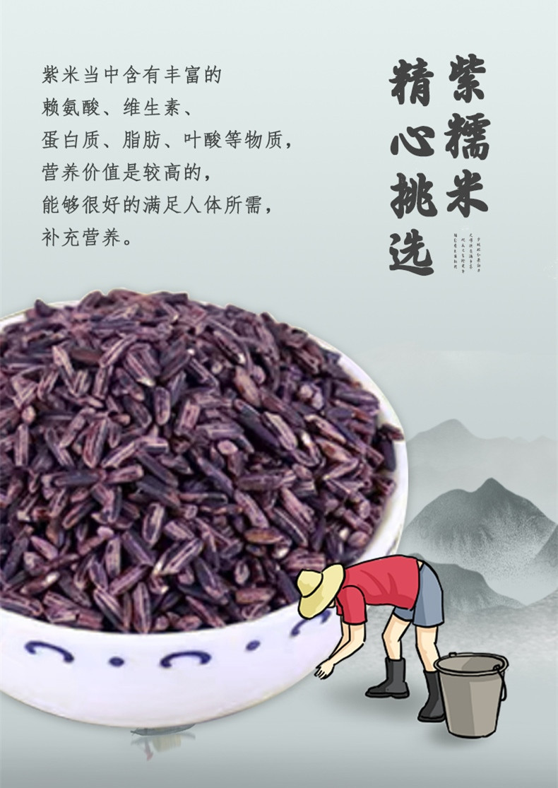  墨江紫米云南甄选农家自种优质五谷杂粮 荞益家 紫米露，紫米馅料