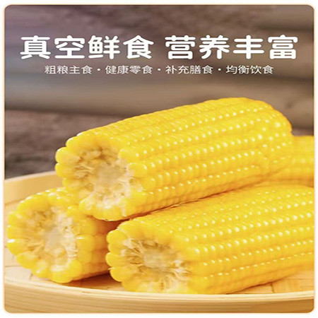 嫩水态安 吉林大安鲜食黏玉米8穗/箱