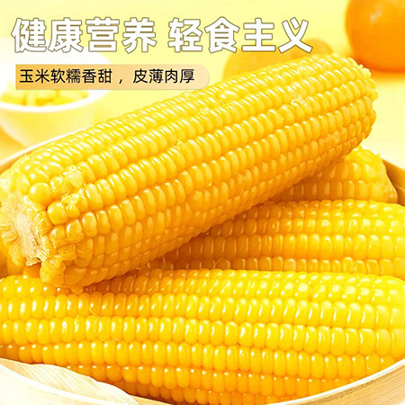 嫩水态安 吉林大安鲜食黏玉米8穗/箱