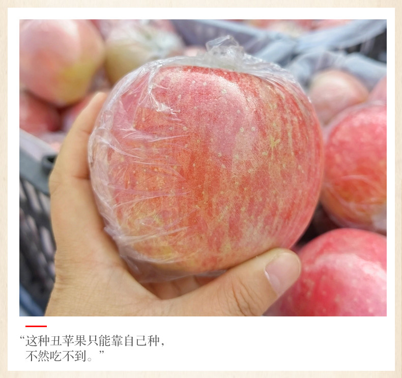 一田一果 红富士苹果3斤礼盒装