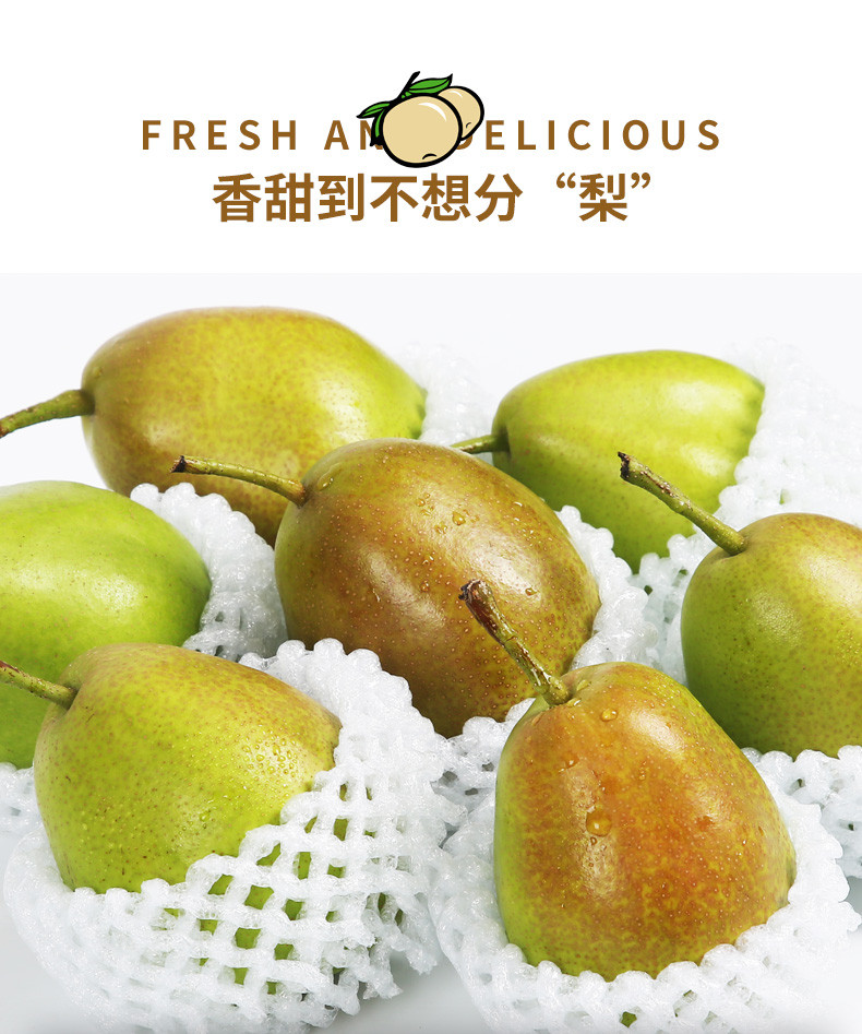 翠王 河北清甜多汁红香酥梨（单果120g+） 5斤