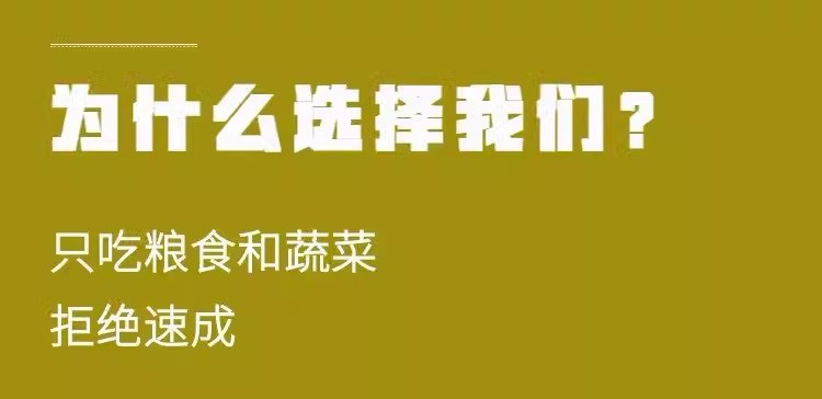 鲜小盼 正宗土鸡蛋农家散养新鲜鸡蛋宝宝辅食绿壳乌鸡蛋混装20枚