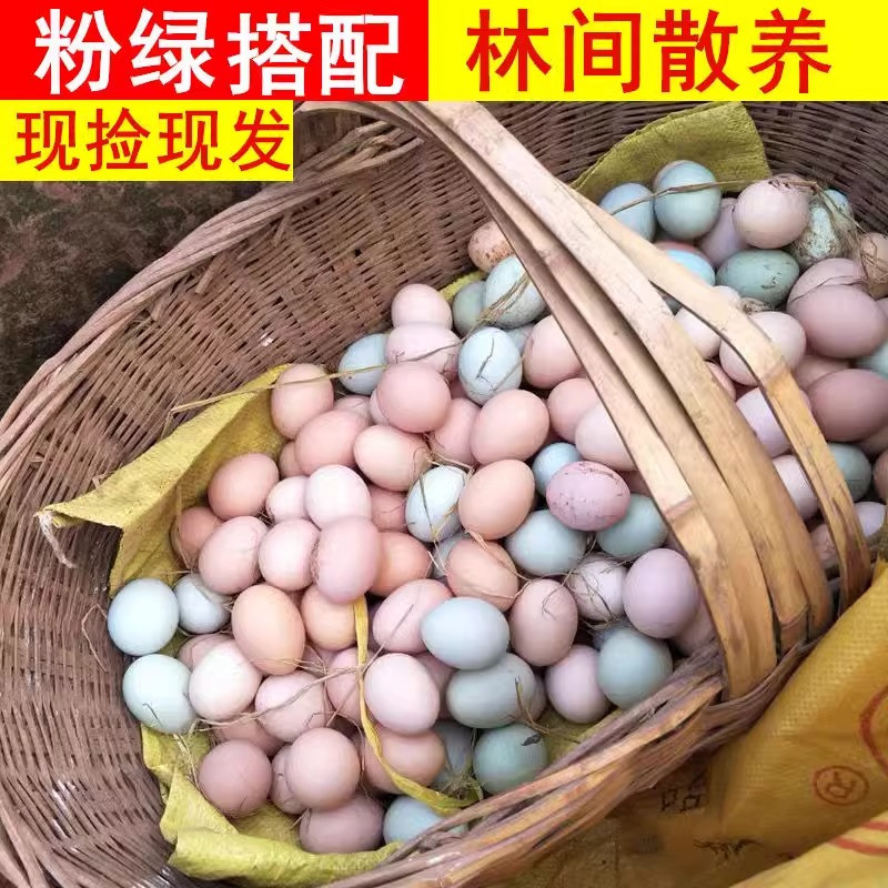 鲜小盼 正宗土鸡蛋农家散养新鲜鸡蛋宝宝辅食绿壳乌鸡蛋混装20枚