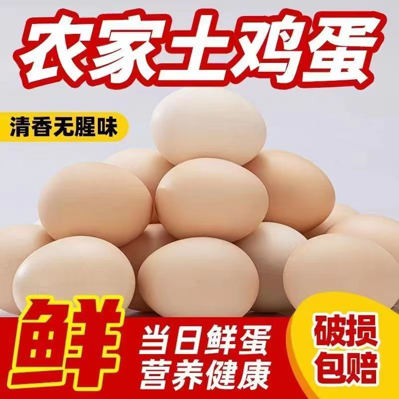 鲜小盼  土鸡蛋【30枚】农村散养批发山鸡野鸡草鸡蛋供应鲜鸡蛋