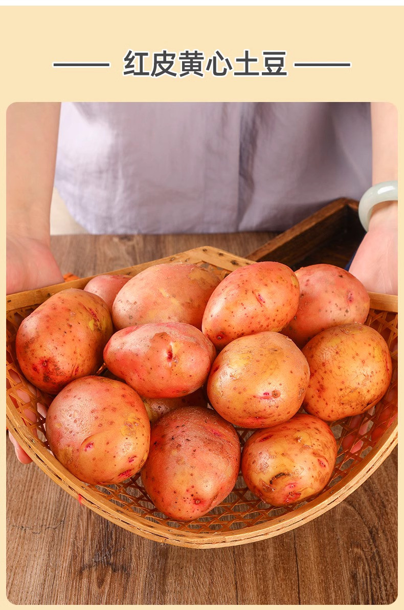 鲜小盼 当季红皮黄心土豆9斤马铃薯农家自种新鲜现挖现发黄心土豆洋芋