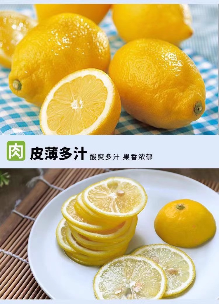 鲜小盼 四川安岳黄柠檬9斤当季现摘新鲜水果商用榨汁奶茶店