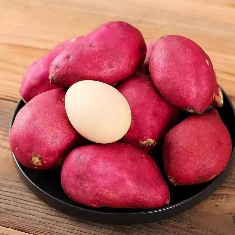 鲜小盼 正宗板栗鸡蛋薯红薯新鲜香薯5斤蜜薯地瓜农家自种沙地