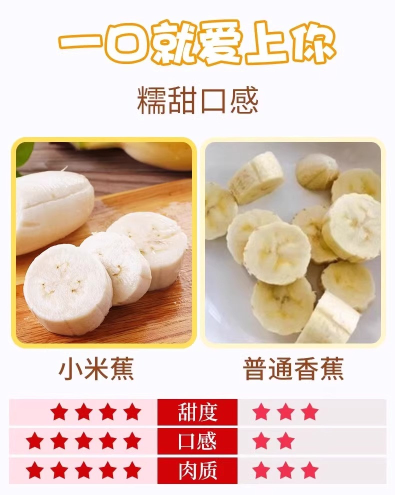 鲜小盼 正宗广西小米蕉香蕉新鲜9斤当季水果薄皮小香蕉甜香蕉苹果蕉
