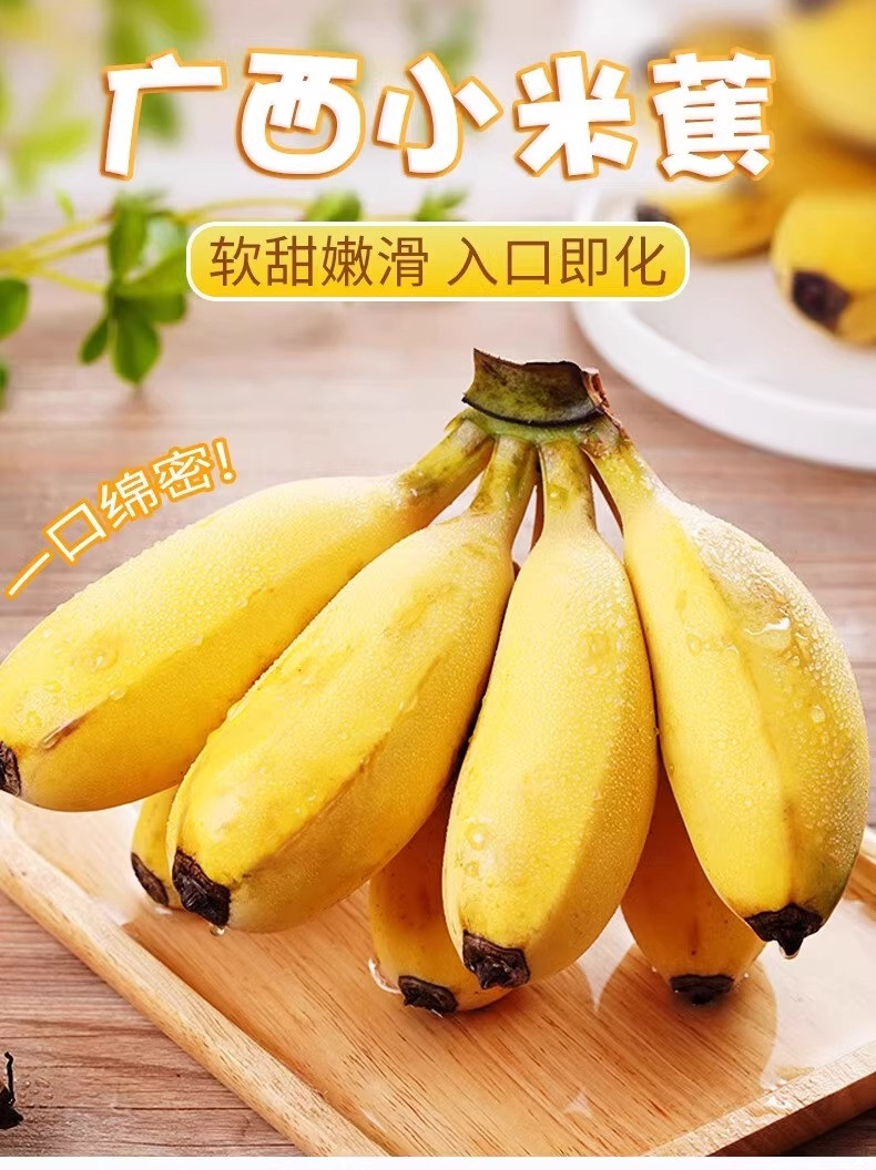鲜小盼 正宗广西【9斤小米蕉】香蕉新鲜当季水果薄皮小香蕉甜香蕉苹果蕉