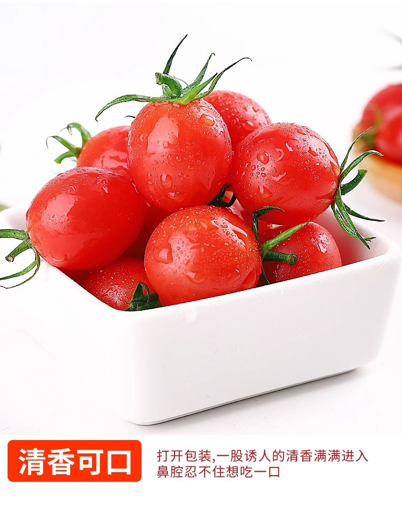 鲜小盼 圣女果小番茄樱桃小西红柿3斤水果新鲜产地直发包邮
