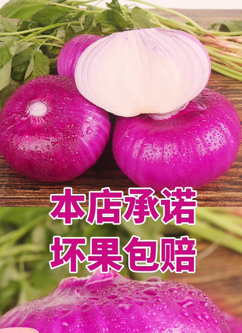 鲜小盼 新鲜紫皮洋葱3斤装新圆葱当季蔬菜农家脆甜葱洋葱头