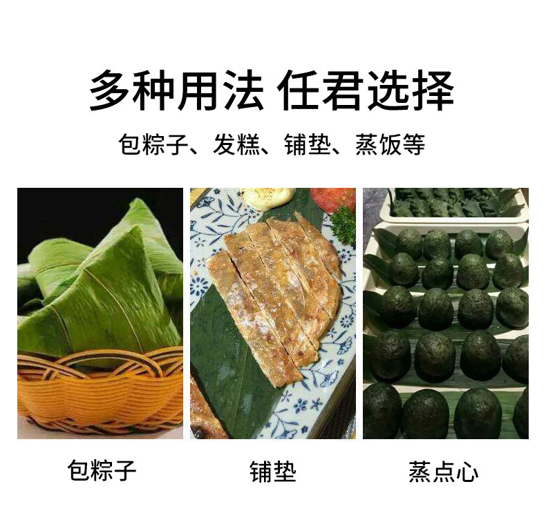 鲜小盼 新鲜粽子叶现摘现发100/150片多规格选端午包粽子专用粽叶