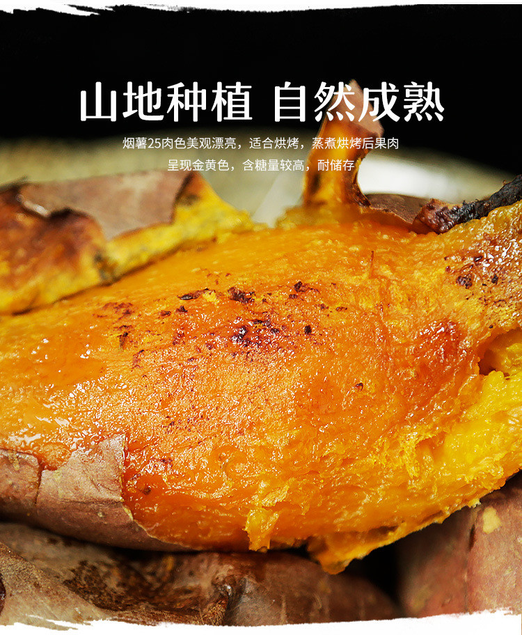鲜小盼 【2斤】新鲜当季烟薯25号蜜薯地瓜红薯产地直发
