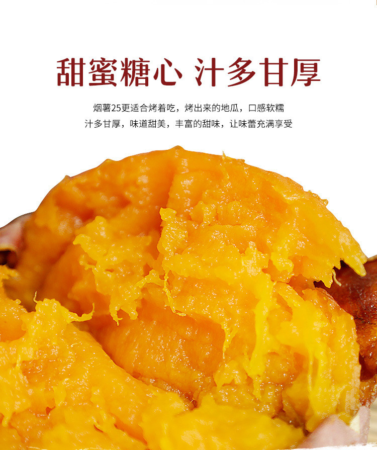 鲜小盼 【2斤】新鲜当季烟薯25号蜜薯地瓜红薯产地直发