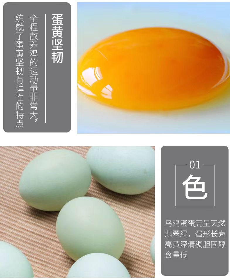 鲜小盼 【10枚】绿壳山鸡蛋新鲜乌鸡蛋正宗农家散养土鸡蛋