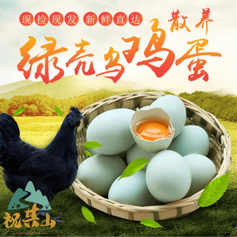 鲜小盼 绿壳山鸡蛋【10枚】新鲜乌鸡蛋正宗农家散养土鸡蛋
