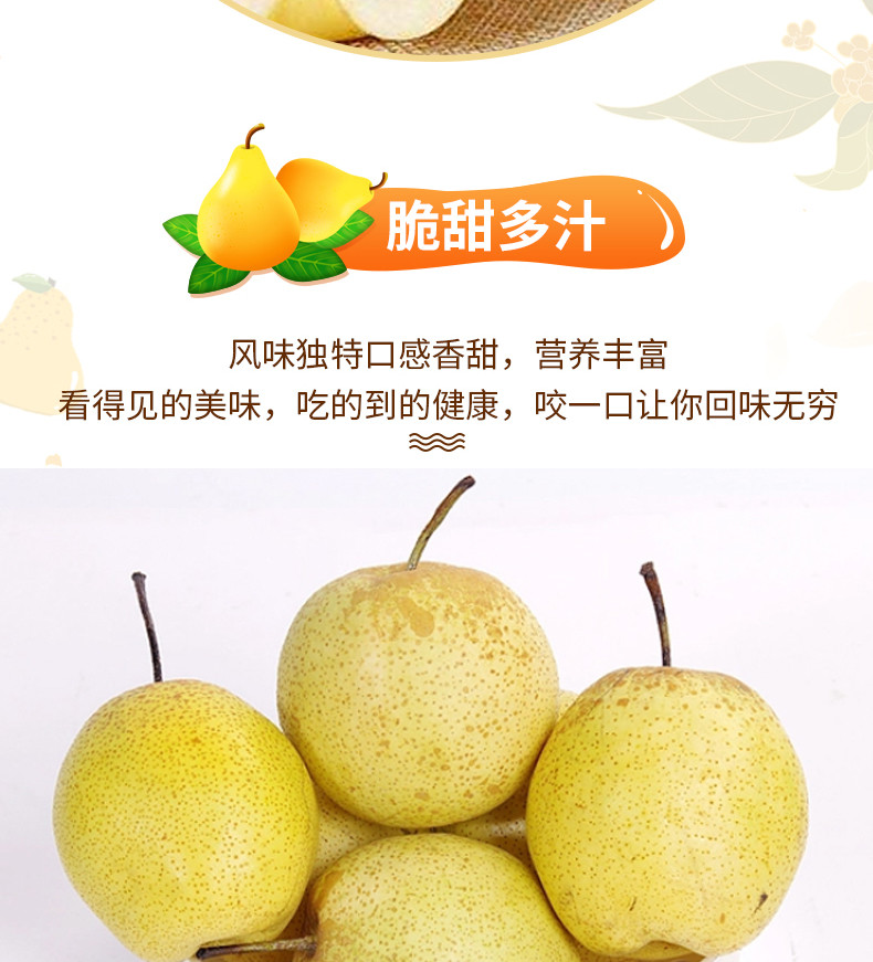沃丰沃 【严选】雪花梨2斤河北赵县当季新鲜脆甜多汁水果梨子冰糖雪梨整