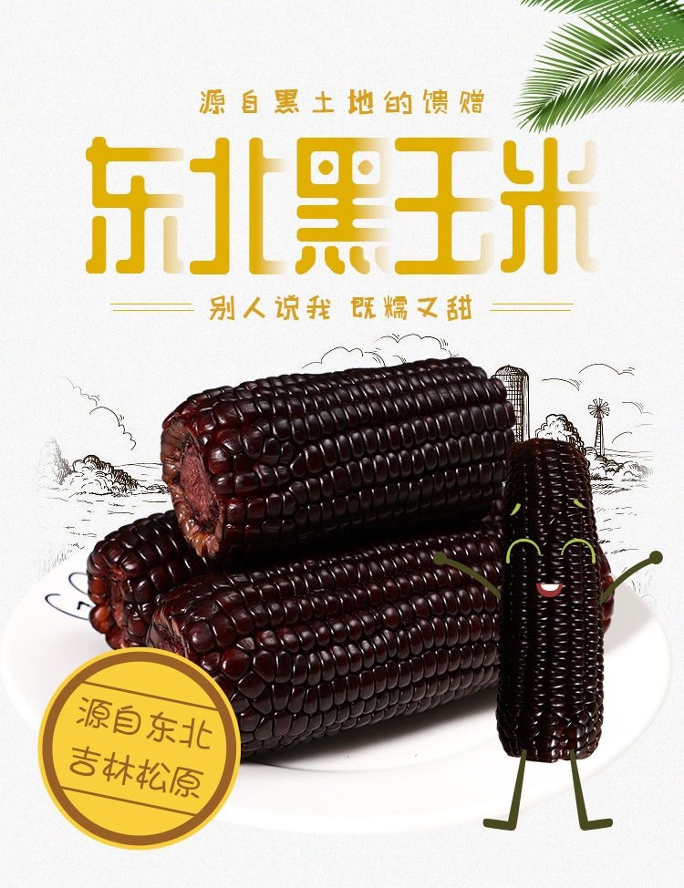 鲜小盼 【200g/棒】东北特产新鲜黑糯玉米【4棒】即食真空包装代餐