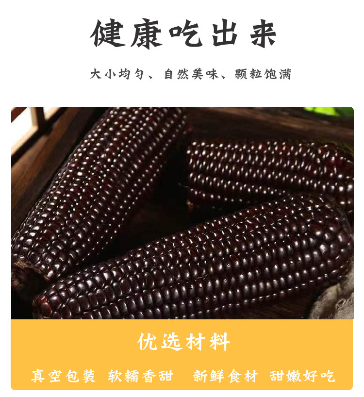 鲜小盼 黑糯玉米【8棒】今年头茬新鲜黑玉米真空包装零添加低脂