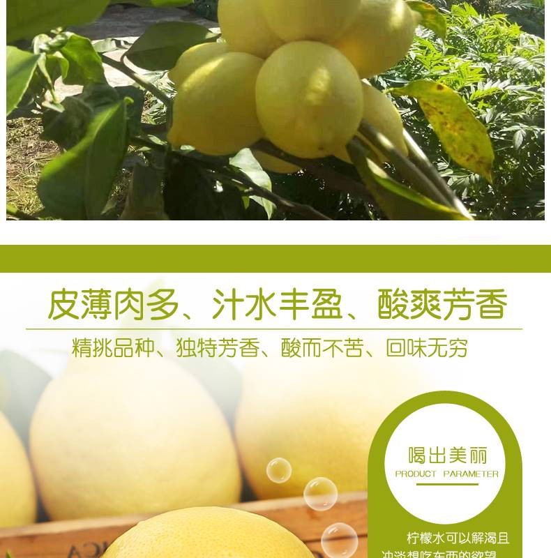 鲜小盼 四川安岳黄柠檬【5个60g+】新鲜水果奶茶饮品店专用皮薄多汁